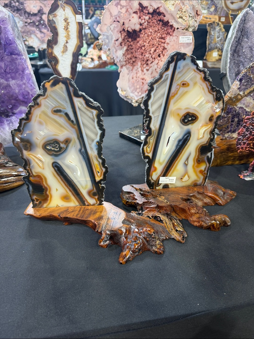 Polished Agate Slice Pair on Burl Wood Stands - Brown, Cream, Black